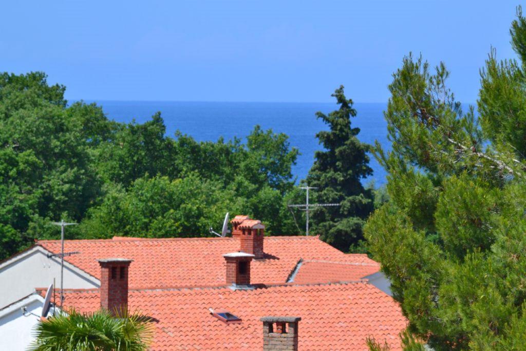 Appartement Zomzi *